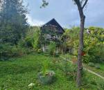 20250905_142927_1_11zon